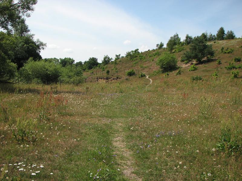 RP7_06.JPG