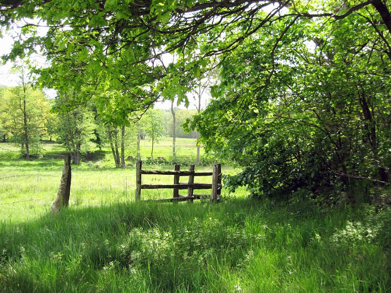 Walk-R1-C.jpg