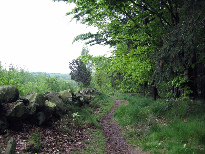Walk-R10_009.jpg