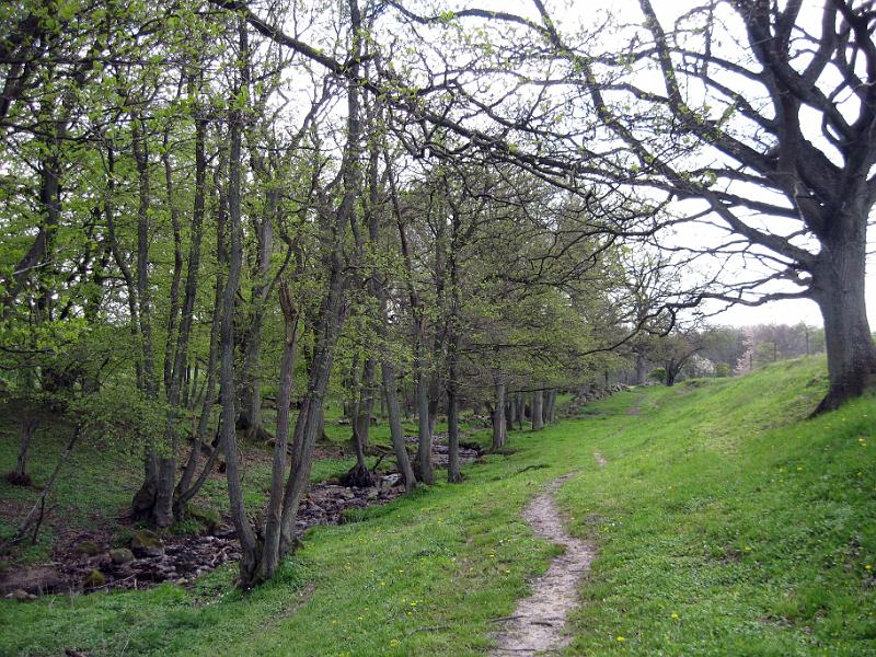 Walk-R11_008.jpg