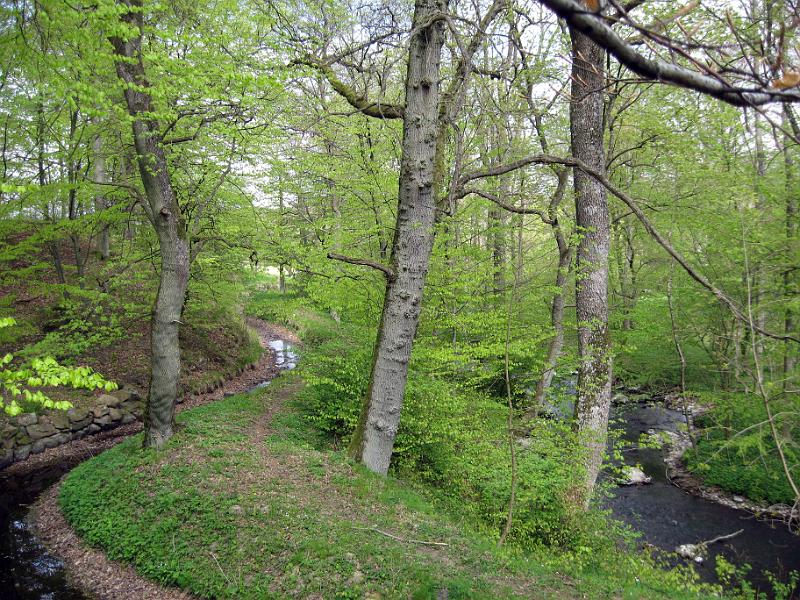 Walk-R12_010.jpg