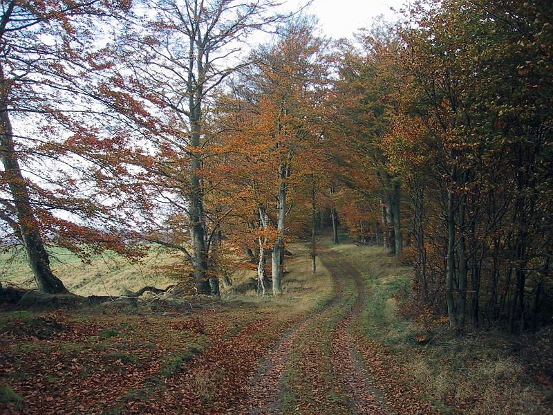 Walk-R13_003.jpg