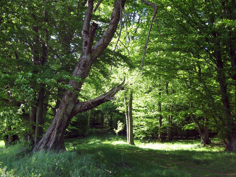 Walk-R13_007.jpg