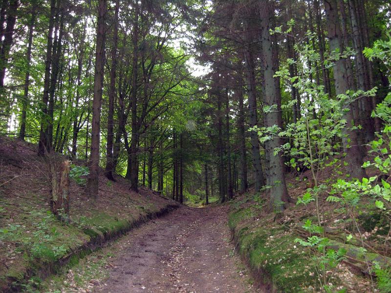 Walk-R17_012.jpg