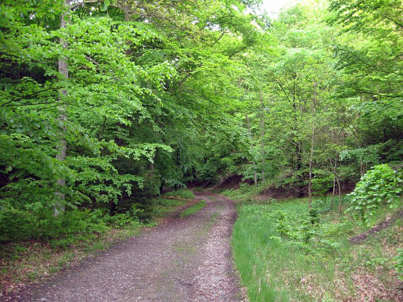 Walk-R17_013.jpg