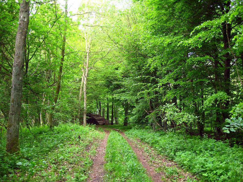 Walk-R17_019.jpg