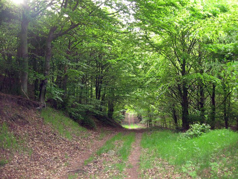 Walk-R17_021.jpg