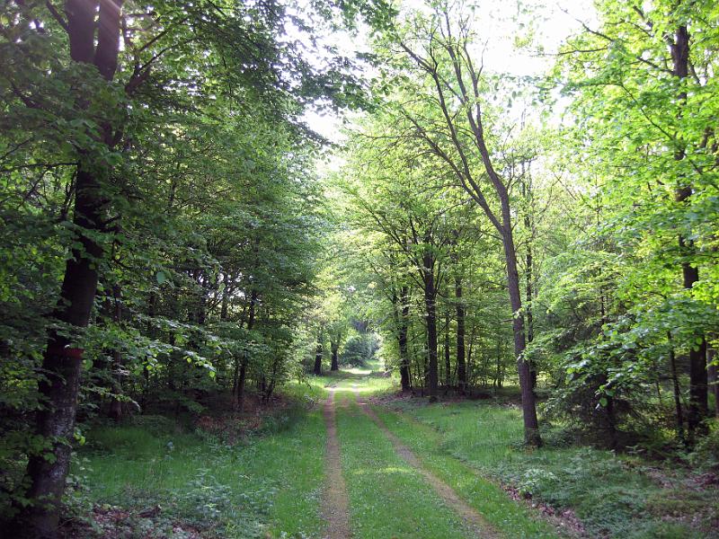 Walk-R17_023.jpg