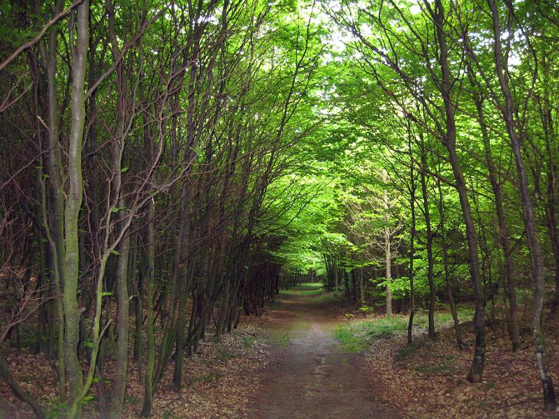 Walk-R17_024.jpg