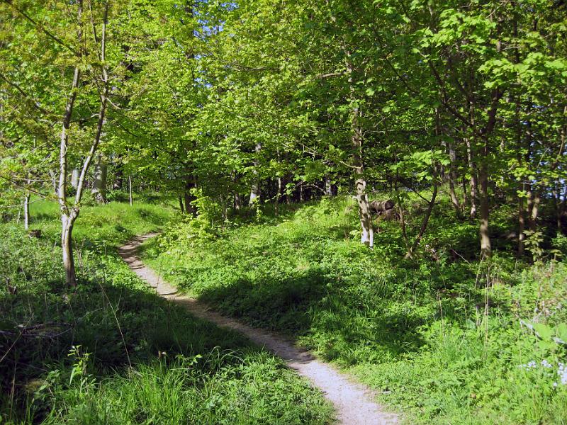 Walk-R19_013.jpg