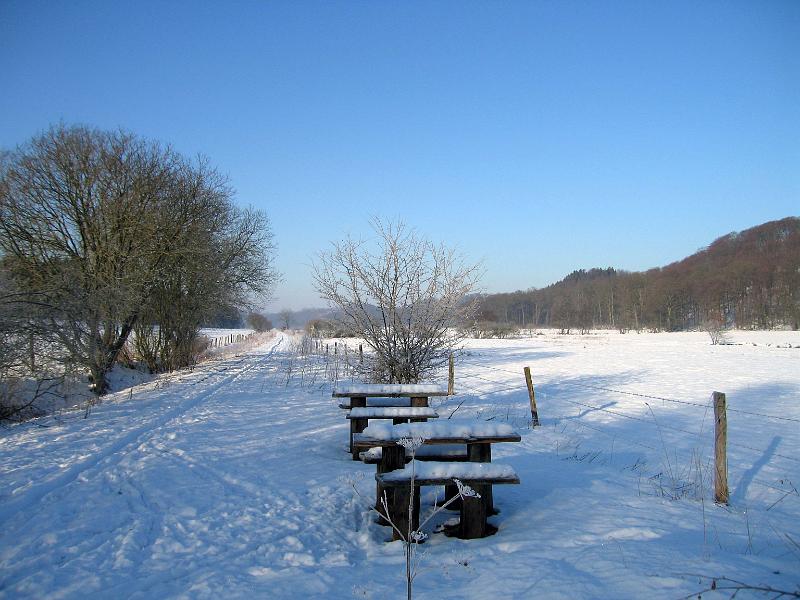 Walk-R20_001.jpg