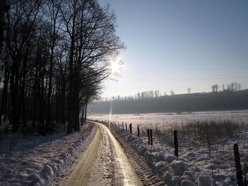Walk-R20_005.jpg