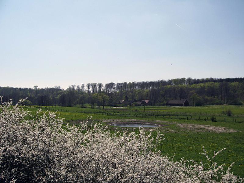 Walk-R20_007.jpg