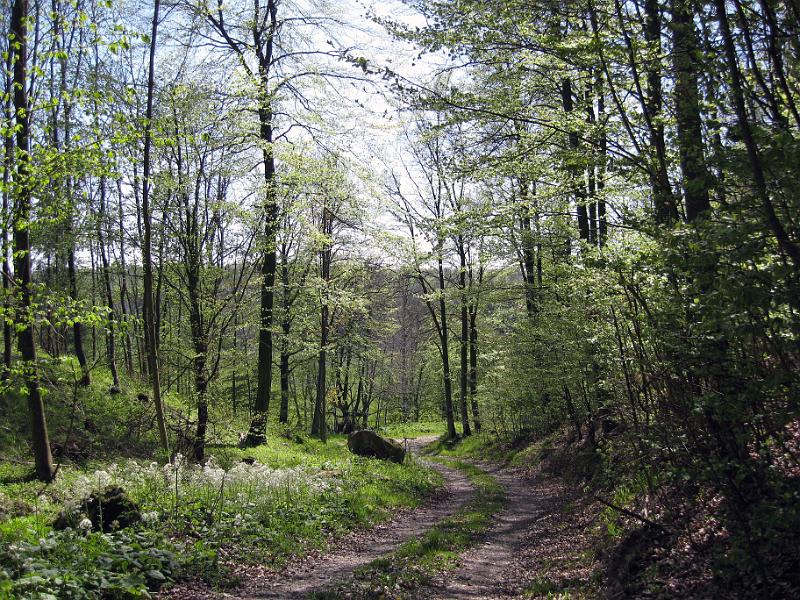 Walk-R20_009.jpg