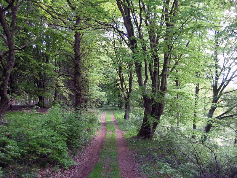 Walk-R23_007.jpg