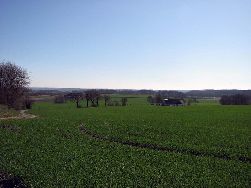 Walk-R24_015.jpg