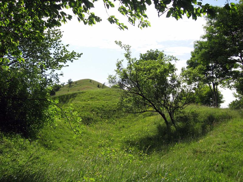 Walk-R24_026.jpg