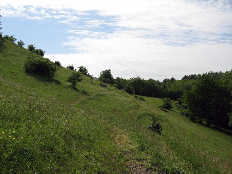 Walk-R24_027.jpg