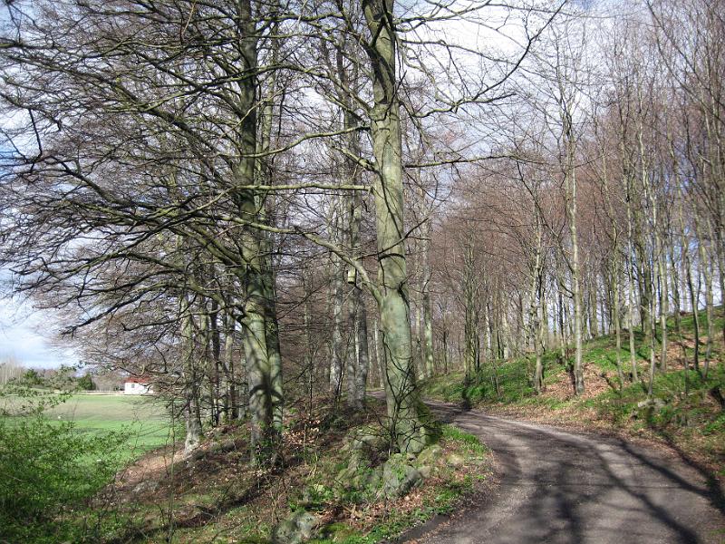 Walk-R26_016.jpg
