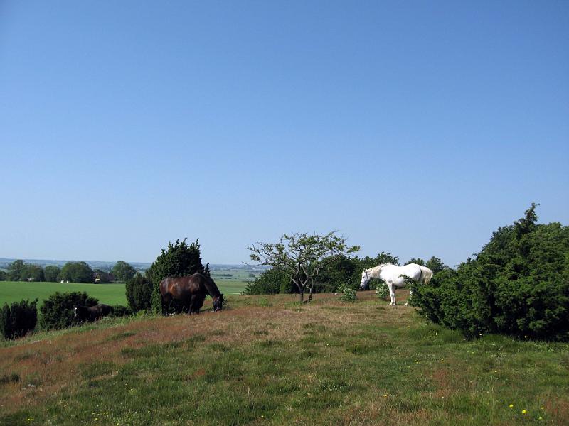 Walk-R29_002.jpg