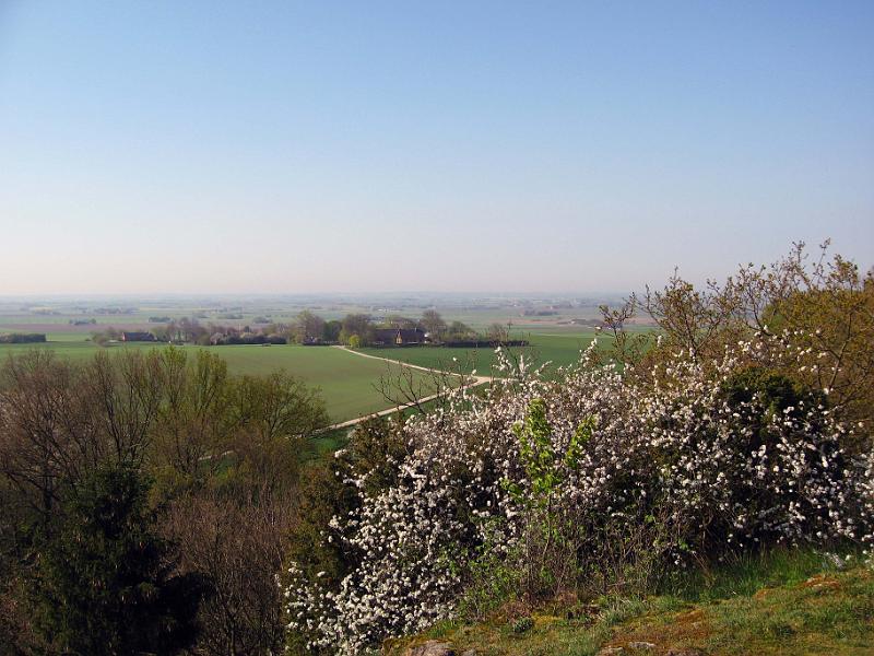 Walk-R29_025.jpg