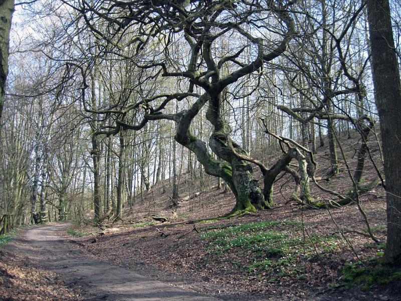 Walk-R2_005.jpg