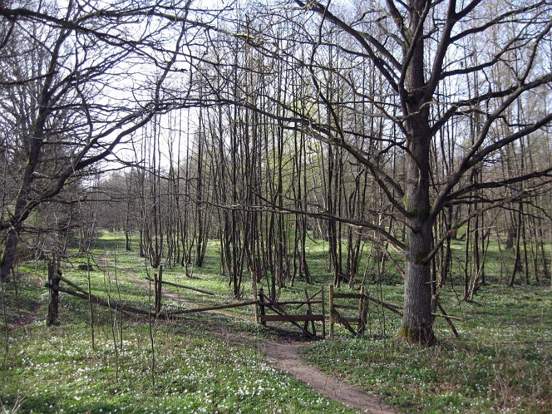 Walk-R2_013.jpg