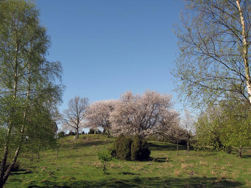 Walk-R2_045.jpg