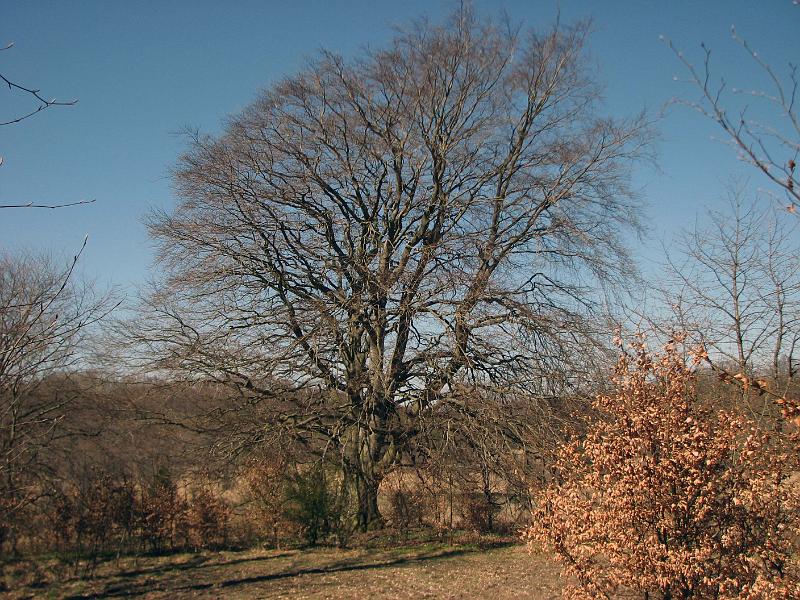 Walk-R30_0964.jpg