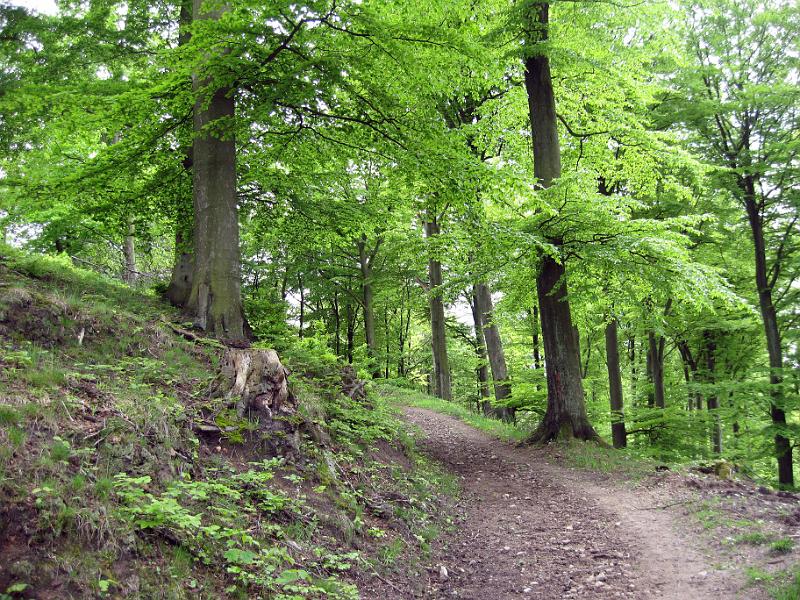 Walk-R3_001.jpg