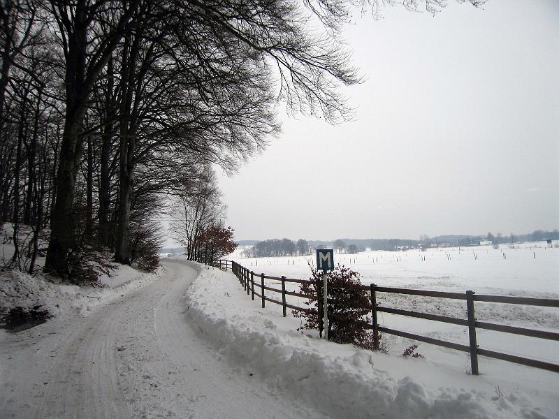 Walk-R3_008.jpg