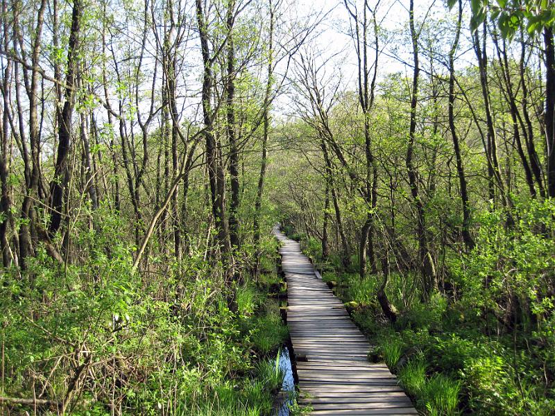 Walk-R4_010.jpg