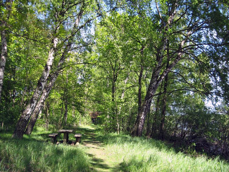 Walk-R5_004.jpg