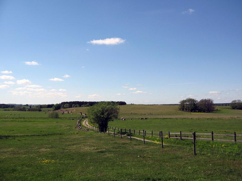 Walk-R5_006.jpg