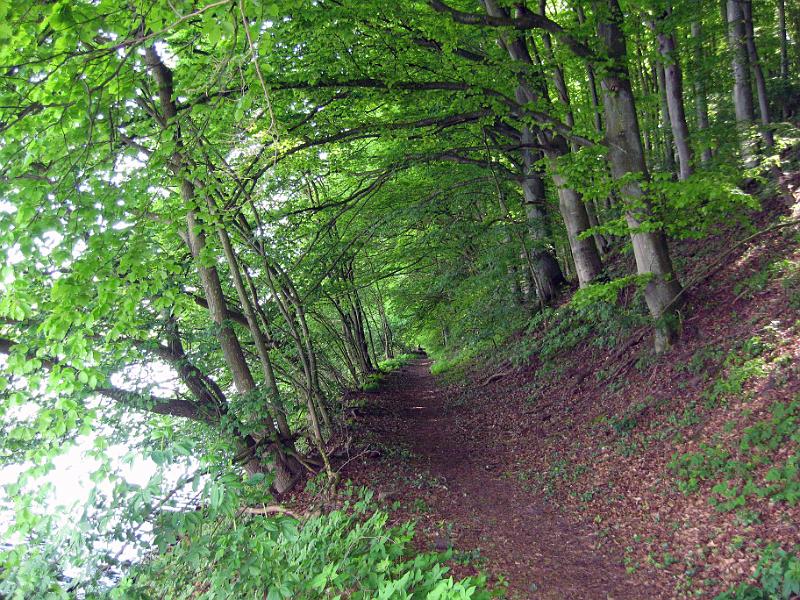 Walk-R6_002.jpg