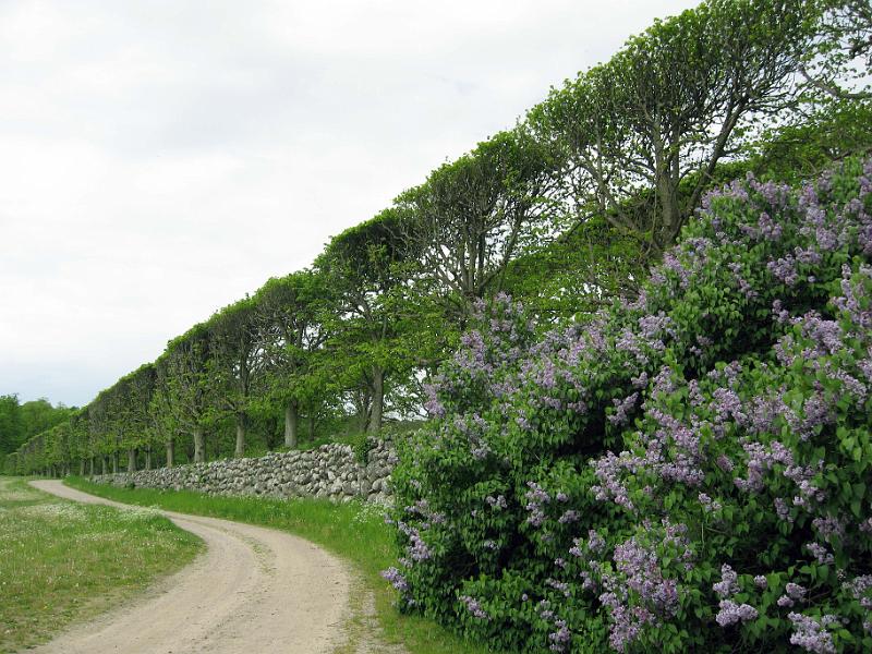 Walk-R6_004.jpg