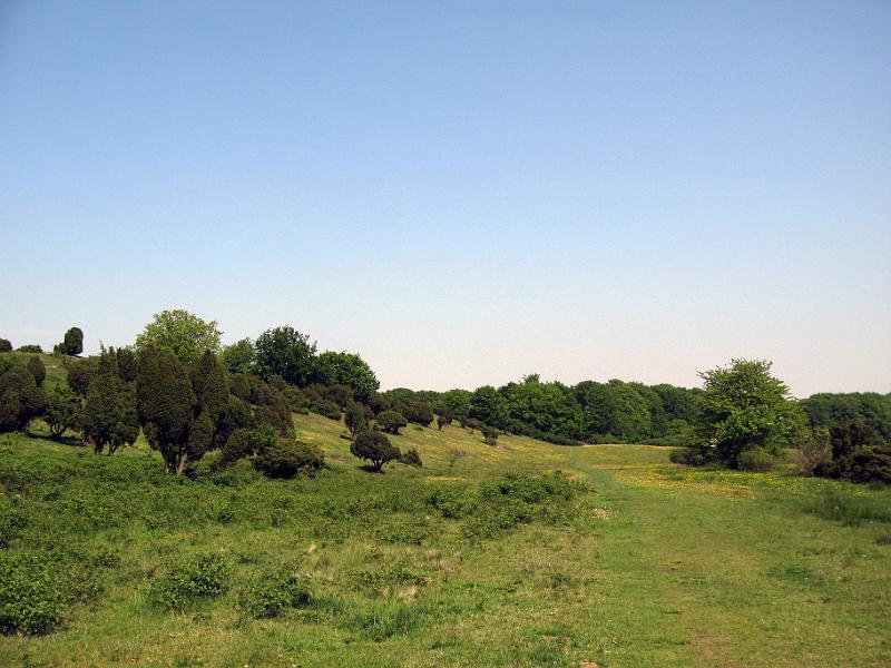 Walk-R7_001.jpg
