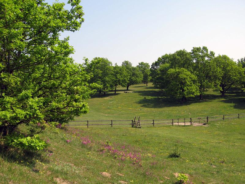 Walk-R7_004.jpg