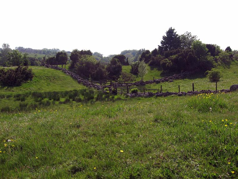 Walk-R7_006.jpg