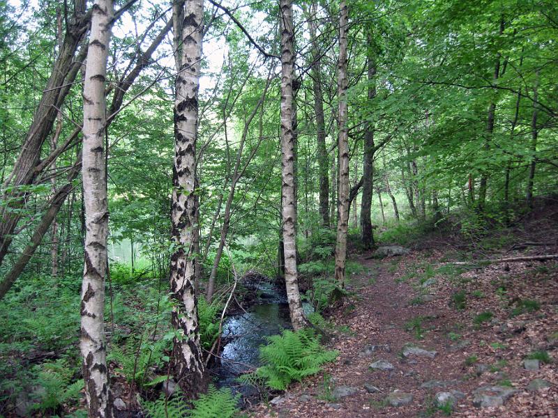 Walk-R8_023.jpg