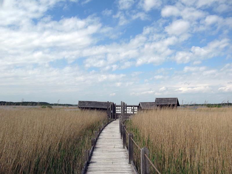 Walk-R9_006.jpg