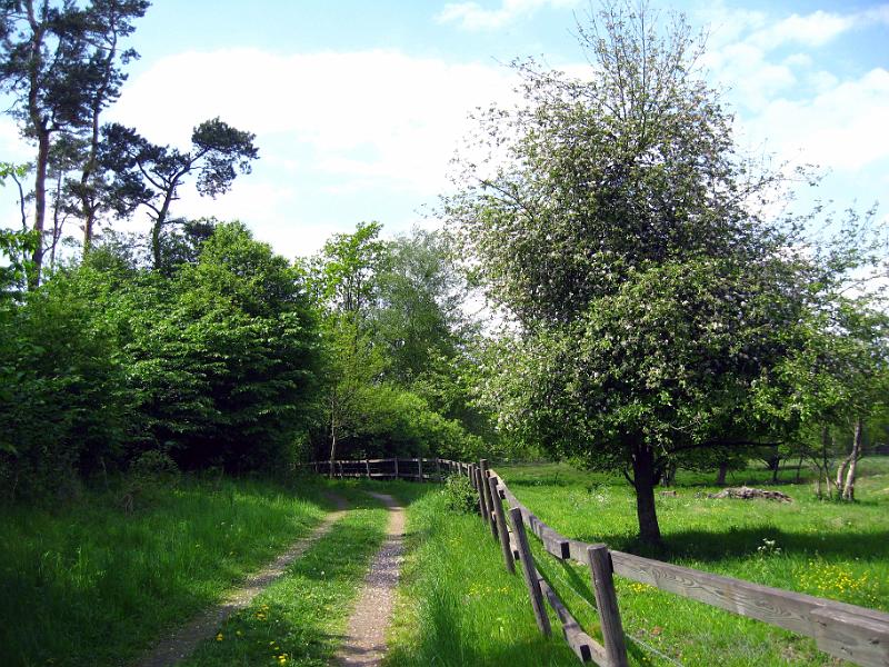 Walk-R9_011.jpg