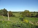 Walk-R13_033