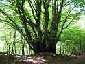 Walk-R14_008