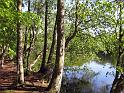 Walk-R14_009