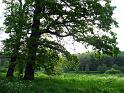 Walk-R17_017