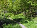Walk-R19_013