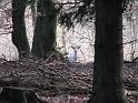 Walk-R23_001