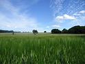 Walk-R23_002