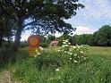 Walk-R23_006